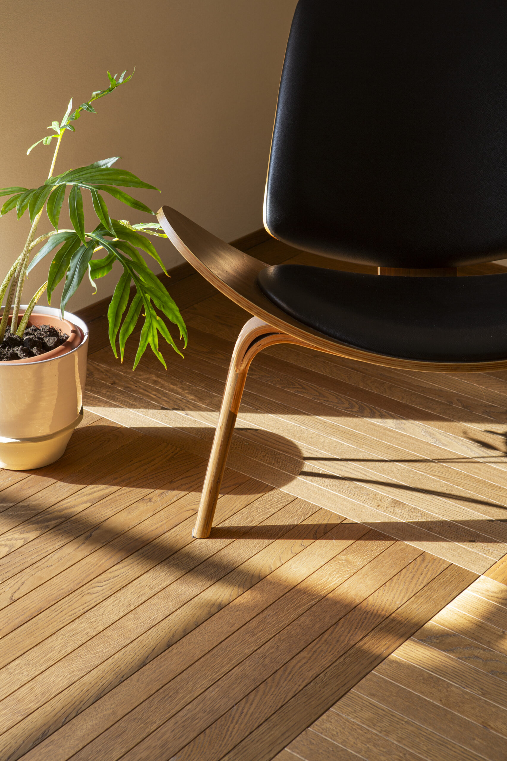 Listone Design